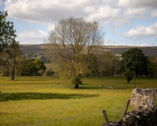 The Dales never hurry themselves into spring, and this year is no different. You can drive through them and still feel winter holding on, yet something has shifted all the same.

It begins quietly. Hawthorn shows along the hedgerows, just enough to catch the eye. The grass is lifting, the fields softening, losing that tired, flattened look they carry through the colder months.

Out on the land, the change is clearer. Lambs are scattered across the fields, finding their feet, while cattle have been turned back out and settle easily into the pasture. There is a rhythm to it again, a sense that the farms are beginning to move.

Nothing arrives all at once. It comes on steadily, almost cautiously, as the land turns back to life.
